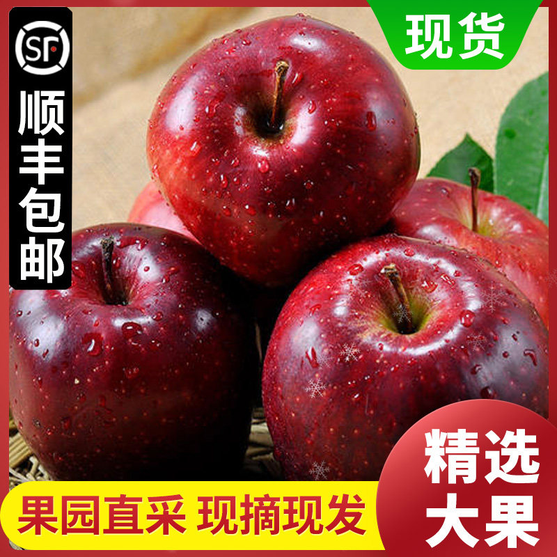 甘肃天水花牛苹果粉面沙甜新鲜果园顺丰包邮10斤孕妇小孩特级花牛