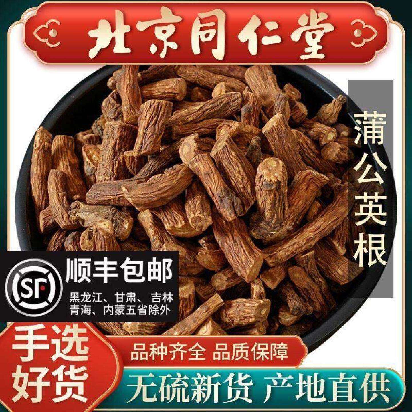 同仁堂当季蒲公英根茶500g浦公英干茶叶泡水长白山正品蒲公英泡茶