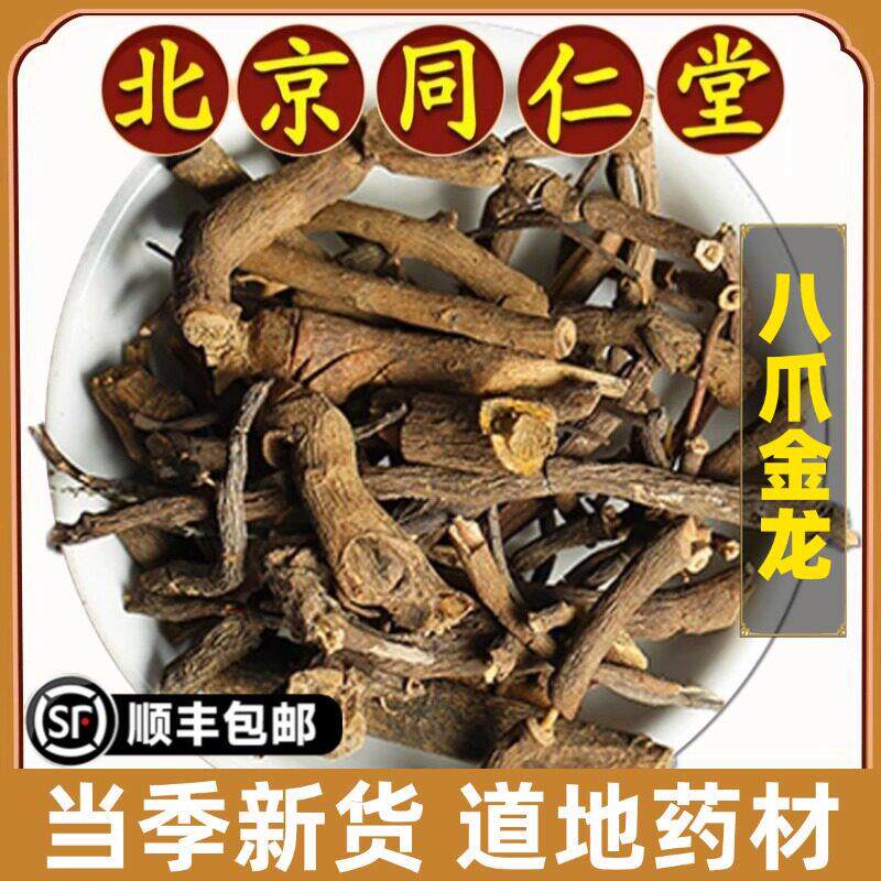 北京同仁堂正品八爪金龙中药材八爪龙八爪根开喉剑百两金无硫干活