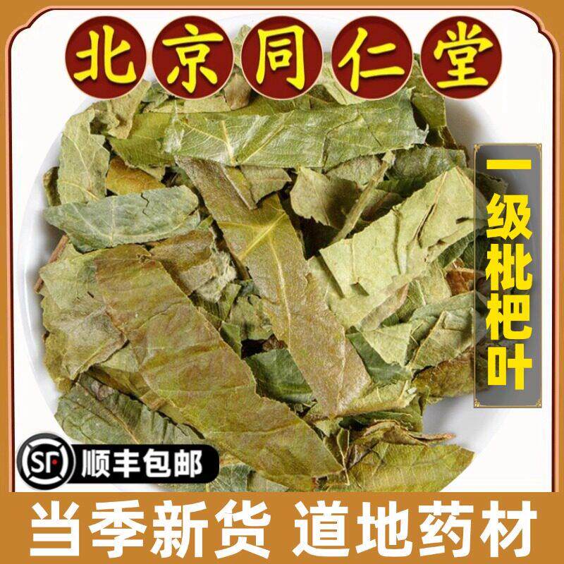 北京同仁堂正品枇杷叶中药材新鲜野生琵琶叶批把叶干枇杷叶茶泡水