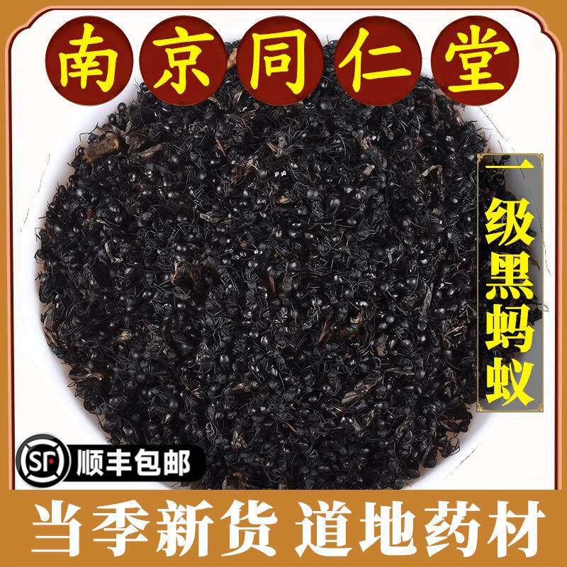 南京同仁堂正品蚂蚁中药材拟黑多刺黑蚂蚁泡酒料黑蚂蚁干100g包邮