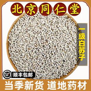 同仁堂正品白苏子中药材特级软壳苏籽鹦鹉玉鸟粮芙蓉鸟金丝雀黄鸟