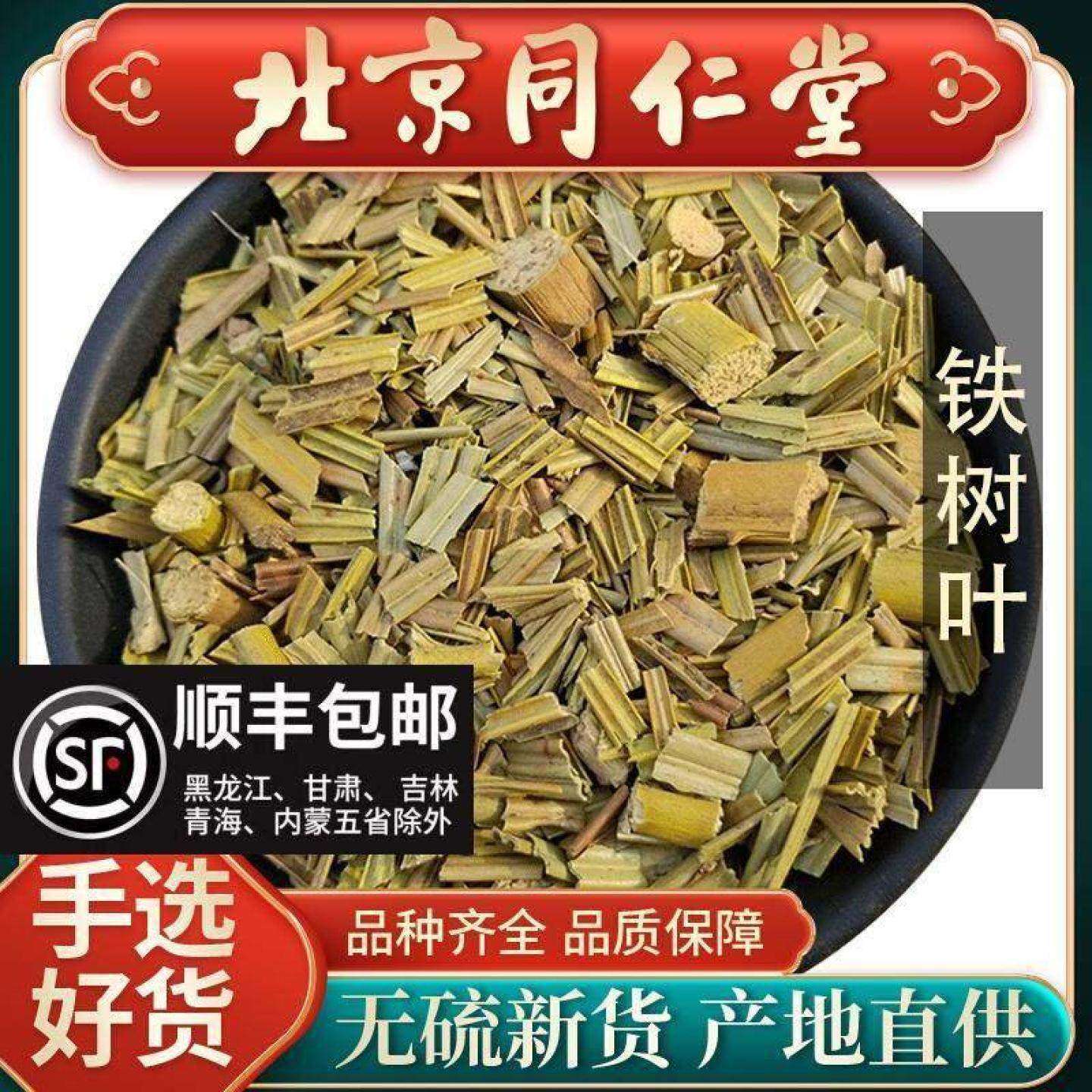 同仁堂铁树叶500克铁树叶中药 铁树叶干药材新货 精选铁树叶正品