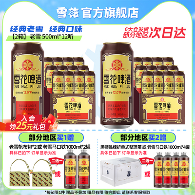 共24听沈阳经典老雪花500ml*12听装*2箱整箱 雪花啤酒官方旗舰店