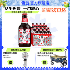 雪花啤酒黑狮485330ml*12