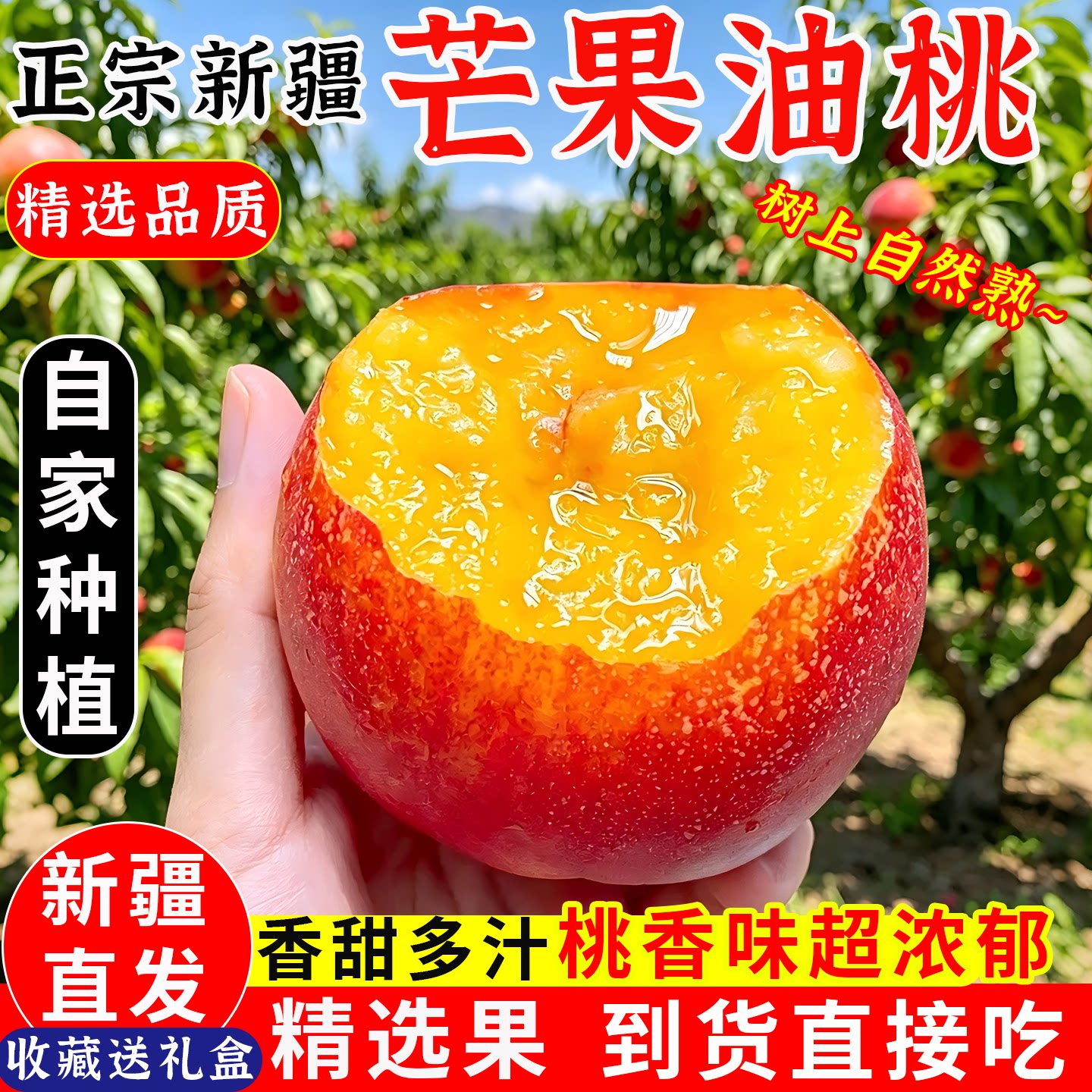 新疆芒果油桃子应季新鲜大油桃现摘当季黄肉蟠桃5斤包邮