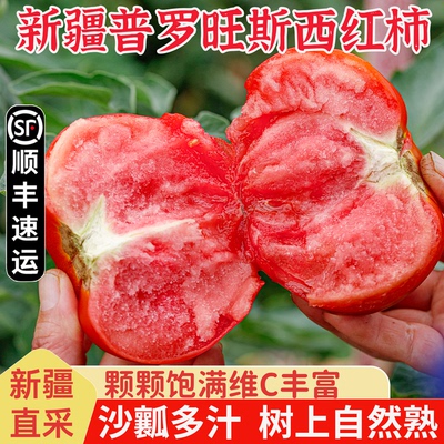 普罗旺斯西红柿沙瓤多汁当季新鲜