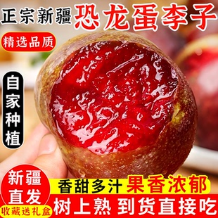 新疆恐龙蛋李子新鲜水果现摘现发红心红布林李子孕妇水果整箱包邮