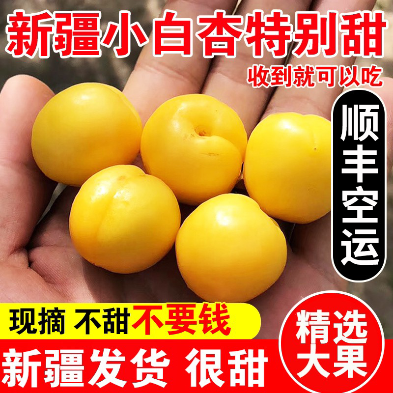 新疆小白杏子新鲜水果轮台应季孕妇水果当季甜杏子4斤顺丰包邮