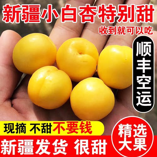 新疆小白杏子4斤顺丰包邮