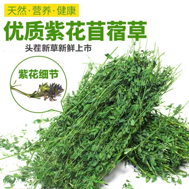 今年新烘干苜蓿草紫花苜蓿草龙猫牧草兔粮饲料整箱兔干草毛重2斤