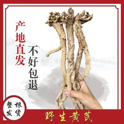 甘肃纯野生黄芪整根特级新货无硫正品包邮北芪片配当归党参茶泡水