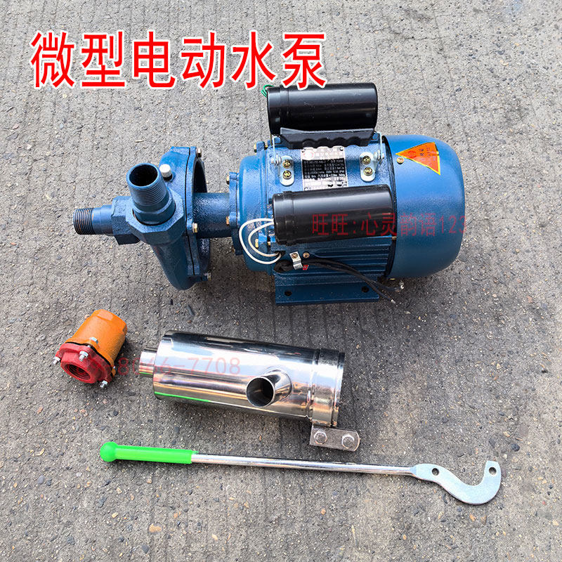 乐山乐久IW(Z)水泵家用小型抽水机220V单相微型电动抽水泵750W