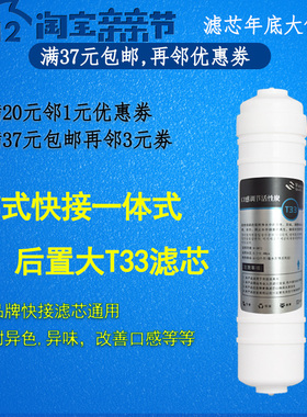 10寸一体2分后置碳 大T33直饮水净水器纯水机滤芯大T活性炭滤芯