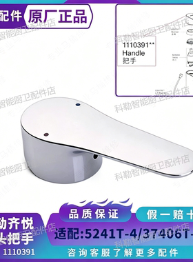 科勒齐悦挂墙淋浴龙头手柄