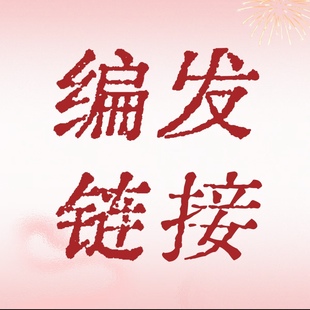 【扎发编发专属】编发扎发截图备注-假发编好发出-不支持售后