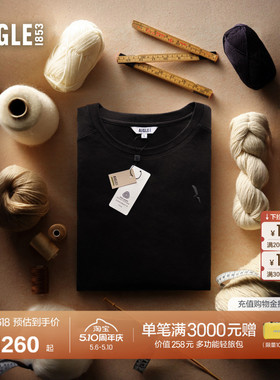 AIGLE艾高美丽诺羊毛户外休闲经典圆领长袖T恤内搭黑色上衣BN59