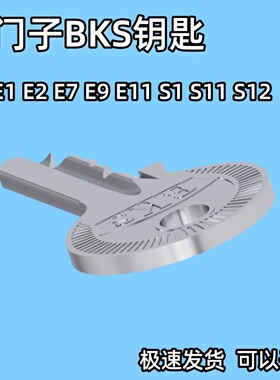 西门子BKS开关钥匙大众VASS威图机柜门锁E1E2E7E9S1S11S12S14钥匙