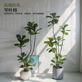 高端轻奢仿真绿植物琴叶榕酒店铺名宿客厅落地家居摆件装 饰景观树