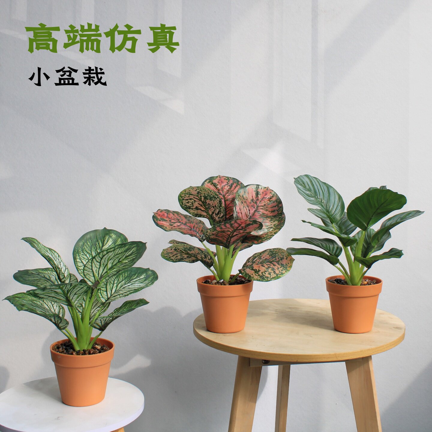 高端仿真万年青室内盆栽图片