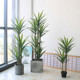高端仿真绿植物剑麻兰大型橱窗客厅店铺落地软装 布置北欧套装 饰树