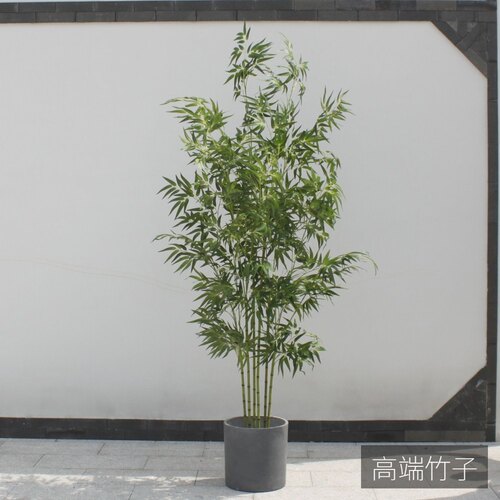 仿真竹子植物假金丝四季紫竹树装饰加密造景绿植客厅橱窗屏风装饰 - 封面