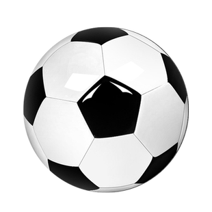 足球官方旗舰店正品幼儿园3-4-5号儿童中小学生成人耐磨真皮训练