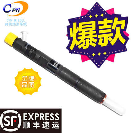 电喷油器EJBR01901D EJBR03902D电喷油嘴适用起亚嘉华2.9D