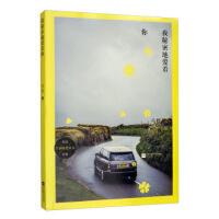 【官方正版】 我秘密地爱着你 9787559411815 彭敏著 江苏凤凰文艺出版社