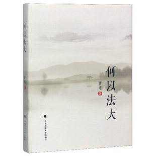 中國政法大學出版 社 黃進著 9787562089681 官方正版 何以法大