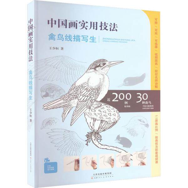 【官方正版】 中国画实用技法禽鸟线描写生 9787572911835 王少桓, 著 天津人民美术出版社