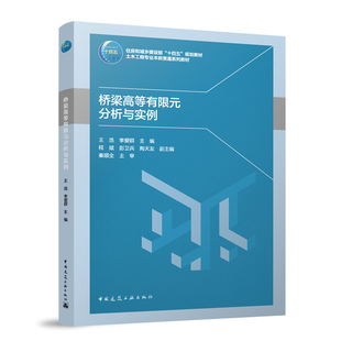 【官方正版】 桥梁高等有限元分析与实例 王浩, 李爱群主编 中国建筑工业出版社 9787112313754