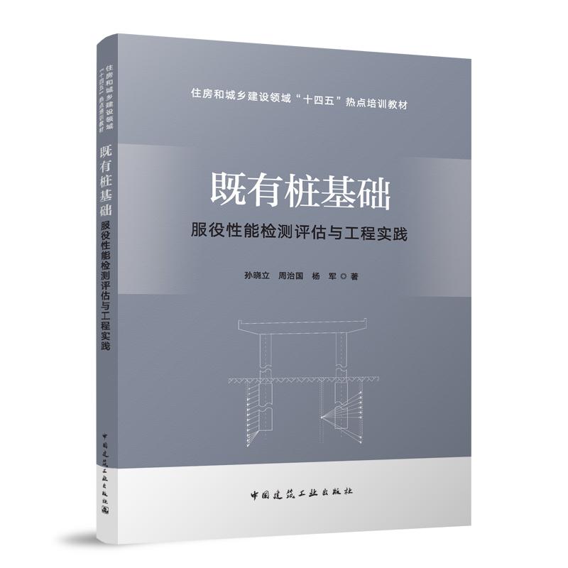 【官方正版】 既有桩基础服役性能检测评估与工程实践 9787112310890 孙晓立, 周治国, 杨军著 中国建筑工业出版社
