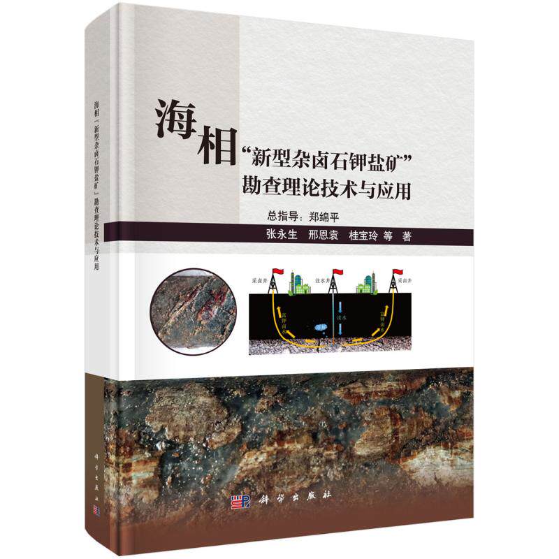 【官方正版】 海相“新型杂卤石钾盐矿”勘查理论技术与应用 9787030819642 张永生, 邢恩袁, 桂宝玲等著 科学出版社