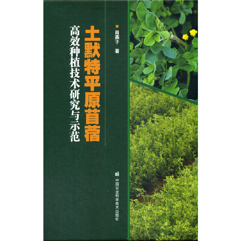 【官方正版】 土默特平原苜蓿高效种植技术研究与示范 9787511651822 肖燕子著 中国农业科学技术出版社