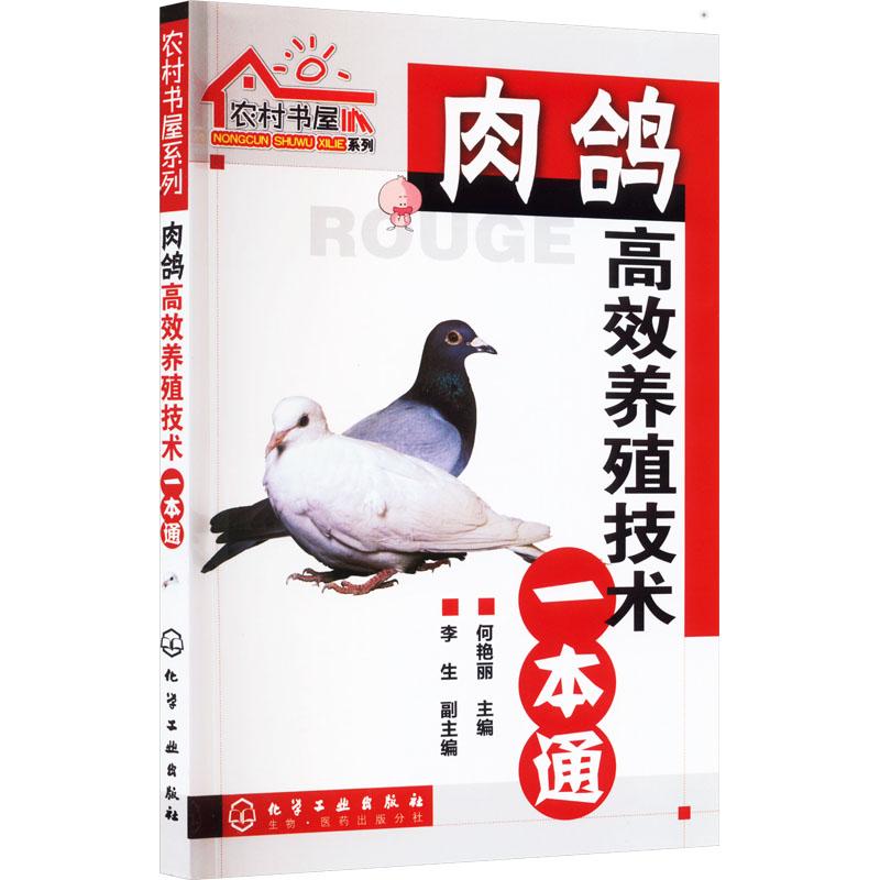 【官方正版】 肉鸽高效养殖技术一本通 9787122078551 何艳丽主编 化学工业出版社