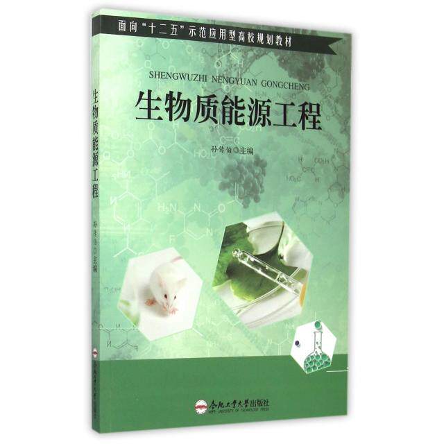 【官方正版】 生物质能源工程 主编孙传伯 合肥工业大学出版社 9787565022944