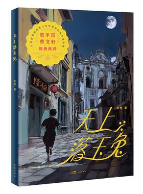 【官方正版】 天上落玉兔 9787574904651 麦然著 花城出版社