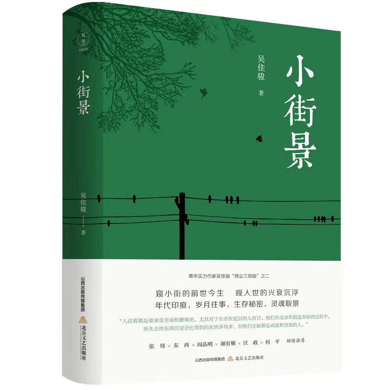 【官方正版】 小街景 9787537865333 吴佳骏著 北岳文艺出版社