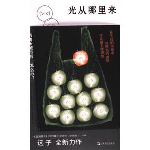【官方正版】 光从哪里来（拜德雅·文学·乐游原） 9787532188758 远子 上海文艺出版社