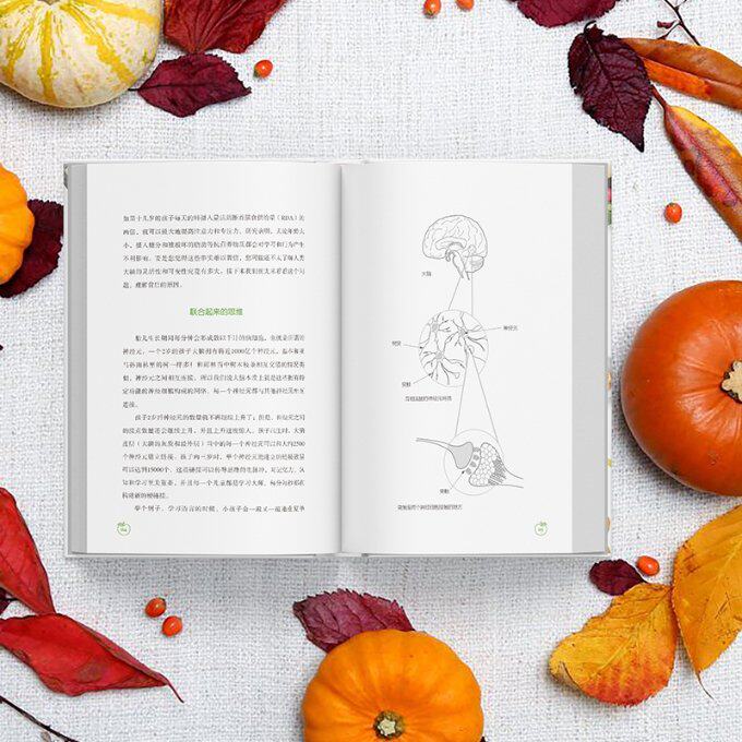 【官方正版】 给孩子的营养圣经 9787559676702 [英]帕特里克·霍尔福德、黛博拉·科尔森/著张祖逸、刘爽/译 北京联合出版公司