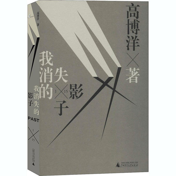 【官方正版】 我消失的影子 9787559833112 高博洋, 著 广西师范大学出版社