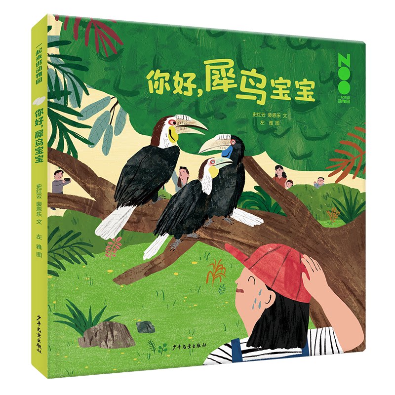 【官方正版】 你好, 犀鸟宝宝 9787558919558 史红云, 裴恩乐文 少年儿童出版社