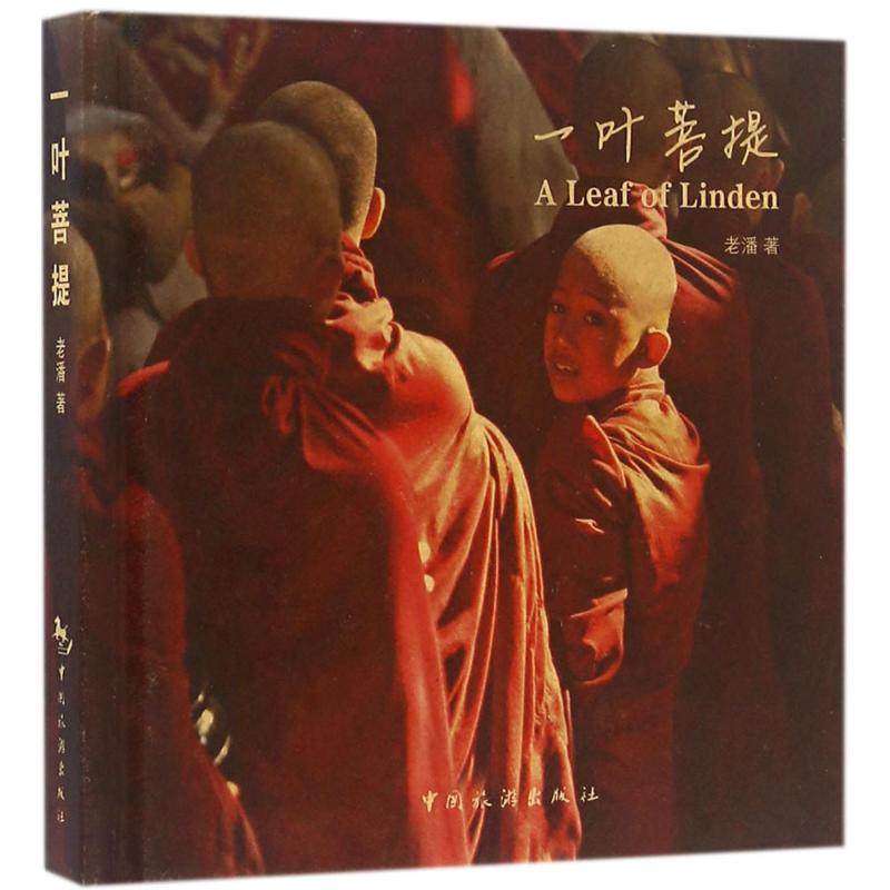 【官方正版】 一叶菩提 9787503255960 老潘 中国旅游出版社