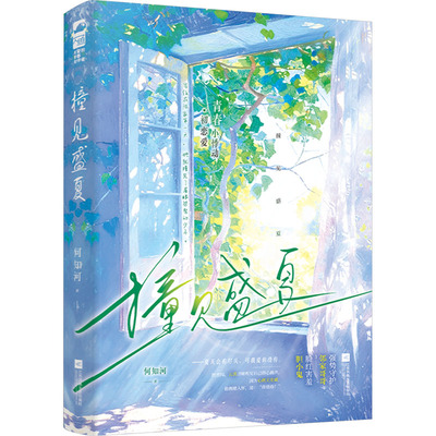【官方正版】 撞见盛夏 9787559480484 何知河著 江苏凤凰文艺出版社