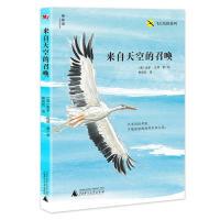 【官方正版】 来自天空的召唤 9787559816559 (意) 圭多·孔蒂著/绘 广西师范大学出版社