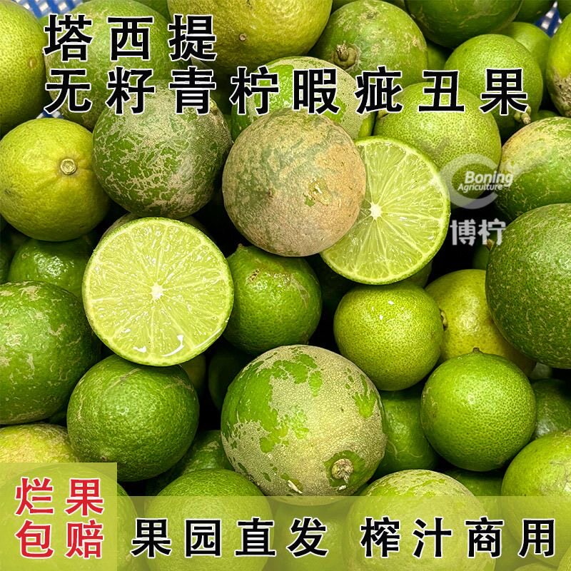 塔西提无籽青柠檬新鲜花皮瑕疵丑果小青柠腌渍柠檬奶茶店榨汁商用
