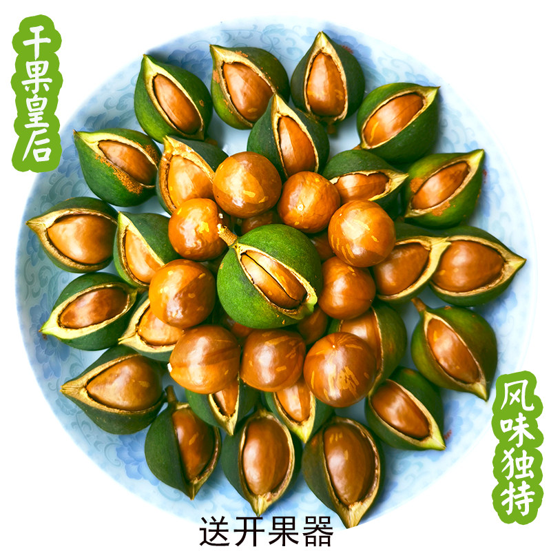 2026年新鲜夏威夷果广西特产现摘新鲜原味干果送开果器