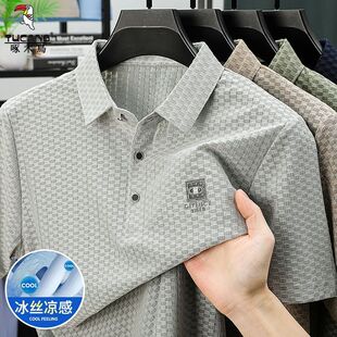 啄木鸟中年男士 短袖 t恤冰丝凉感爸爸夏装 透气翻领商务休闲POLO衫