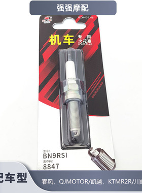 适凯旋tiger1200/Street Triple1200RS/Speed Twin900铱金火花塞